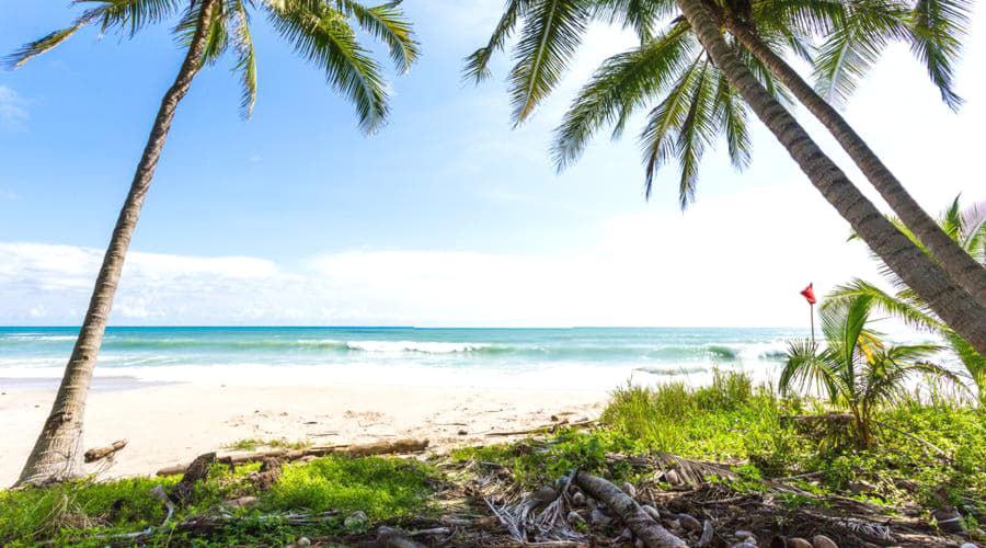 Nossos serviços de aluguel de carros oferecem uma seleção diversificada de veículos em Santa Tereza.